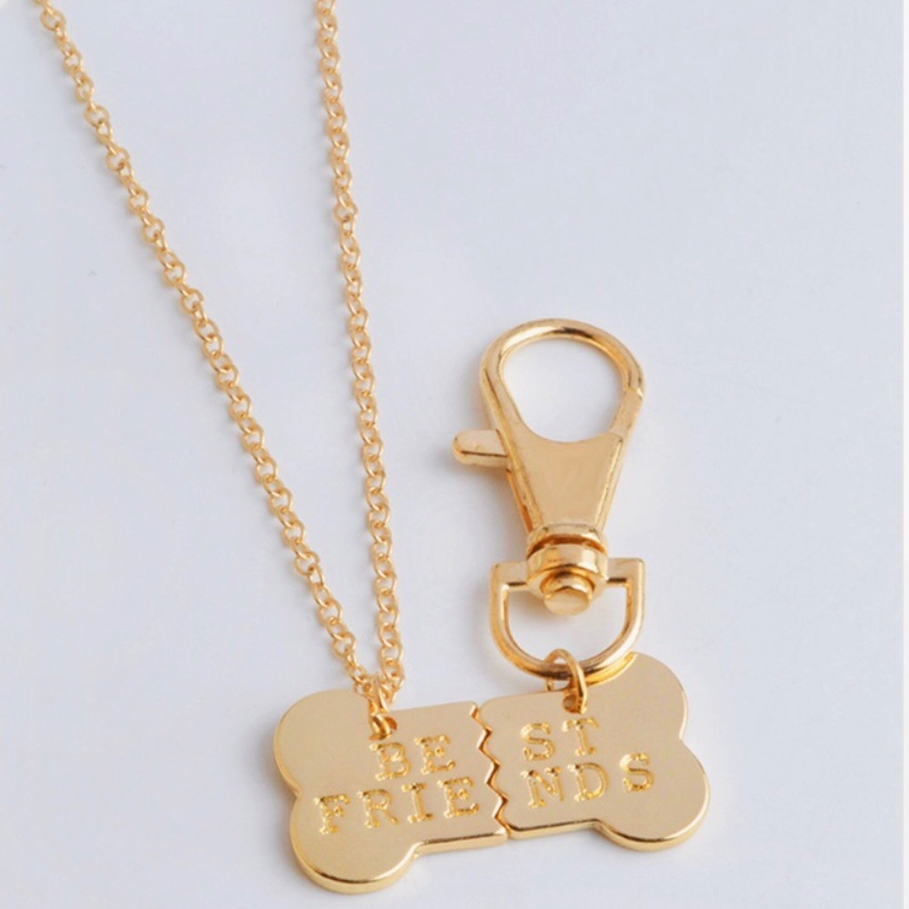 BFF Best Friend necklace for you and your pet